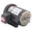 U3P1AFC General Purpose Motor