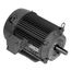 U3P2DCR General Purpose Motor