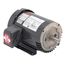 U5P1D General Purpose Motor