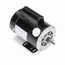 B2232 Pool and Spa Motor