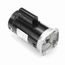 B2748 Pool and Spa Motor
