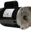 B2841V1 Pool and Spa Motor