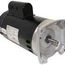 B2844 Pool and Spa Motor