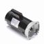B2859 Pool and Spa Motor