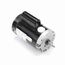 B2975 Pool and Spa Motor