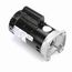 B2980 Pool and Spa Motor