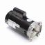 B2984 Pool and Spa Motor
