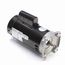 B2987 Pool and Spa Motor