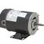 BN34V1 Pool and Spa Motor