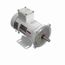 DC149 PMDC Motor