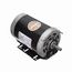 H1034V1 Two Speed Two Winding Motor