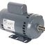 H956 General Purpose Motor