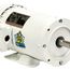 WD32C1JHC White Epoxy Washdown Motor