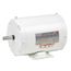 WD5P2D White Epoxy Washdown Motor