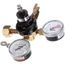 Co2 Regulator, Primary, Twin G, 2928F