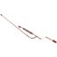 Drier Assembly, Hydrocarbon, C22999DAH02