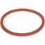 Lower Inside Globe Gasket, F1710-2