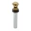 Push And Seal All Metal Drain (Brushed Gold) 972-101BG