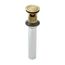 Push And Seal All Metal Drain (Brushed Gold) 972-101BG