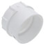 1-1/2" PVC DWV Female Adapter