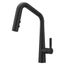 Asari 1-Handle Pull-Down Kitchen Faucet (Matte Black), GT529-ASRB