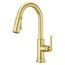Colfax Pulldown Kitchen Faucet (Brushed Gold), GT529-COLBG