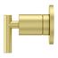 Contempra Diverter Trim , 016-NC1BG (Brushed Gold)