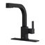 Arkitek 1 Handle Pull-Out Kitchen Faucet , LG534-LPMB (Matte Black)