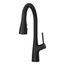 Neera Pull-Down Kitchen Faucet (Matte Black), LG529-NEB
