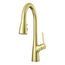 Neera Pull-Down Kitchen Faucet (Brushed Gold), LG529-NEBG