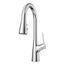 Neera Pull-Down Kitchen Faucet (Polished Chrome), LG529-NEC