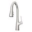 Neera Pull-Down Kitchen Faucet (Stainless Steel), LG529-NES