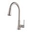 Pfirst Series 1-Handle Pull-Down Kitchen Faucet (Stainless Steel), G529-PF2S