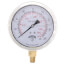 4" Stainless Steel Liquid Filled Pressure Gauge (0-160 PSI)
