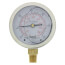 2-1/2" Stainless Steel Liquid Filled Gauge, 1/4" Bottom NPT w/ Brass Internals (30"Hg-0-100 PSI)