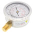 2-1/2" Stainless Steel Liquid Filled Gauge, 1/4" Bottom NPT w/ Brass Internals (30"Hg-0-30 PSI)