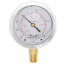 2-1/2" Stainless Steel Liquid Filled Gauge, 1/4" Bottom NPT w/ Brass Internals (30"Hg-0-30 PSI)