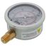 2-1/2" Stainless Steel Liquid Filled Gauge, 1/4" Bottom NPT w/ Brass Internals (0-30 PSI)