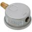 2-1/2" Stainless Steel Liquid Filled Gauge, 1/4" Bottom NPT w/ Brass Internals (0-30 PSI)
