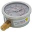 2-1/2" Stainless Steel Liquid Filled Gauge, 1/4" Bottom NPT w/ Brass Internals (0-160 PSI)