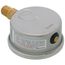 2-1/2" Stainless Steel Liquid Filled Gauge, 1/4" Bottom NPT w/ Brass Internals (0-160 PSI)