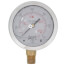 2-1/2" Stainless Steel Liquid Filled Gauge, 1/4" Bottom NPT w/ Brass Internals (0-600 PSI)