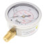 2-1/2" Stainless Steel Liquid Filled Gauge, 1/4" Bottom NPT w/ Brass Internals (0-400 PSI)