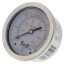 2-1/2" Stainless Steel Liquid Filled Gauge, 1/4" Back NPT w/ Brass Internals (0-30 PSI)