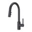 Stellen 1-Handle Pull-Down Kitchen Faucet (Matte Black), LG529-SAB