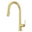 Tenet 1-Handle Pull-Down Kitchen Faucet (Brushed Gold), GT529-TNTBG