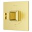 Verve Diverter Valve Only Trim without Handles (Brushed Gold), R89-1VRVBG