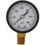 2" Lower Mount Pressure Gauge (0-60 psi)