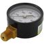 2" Lower Mount Pressure Gauge (0-60 psi)