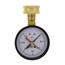 Water Test Gauge, 3/4" Hose Thread (0 - 300 PSI)